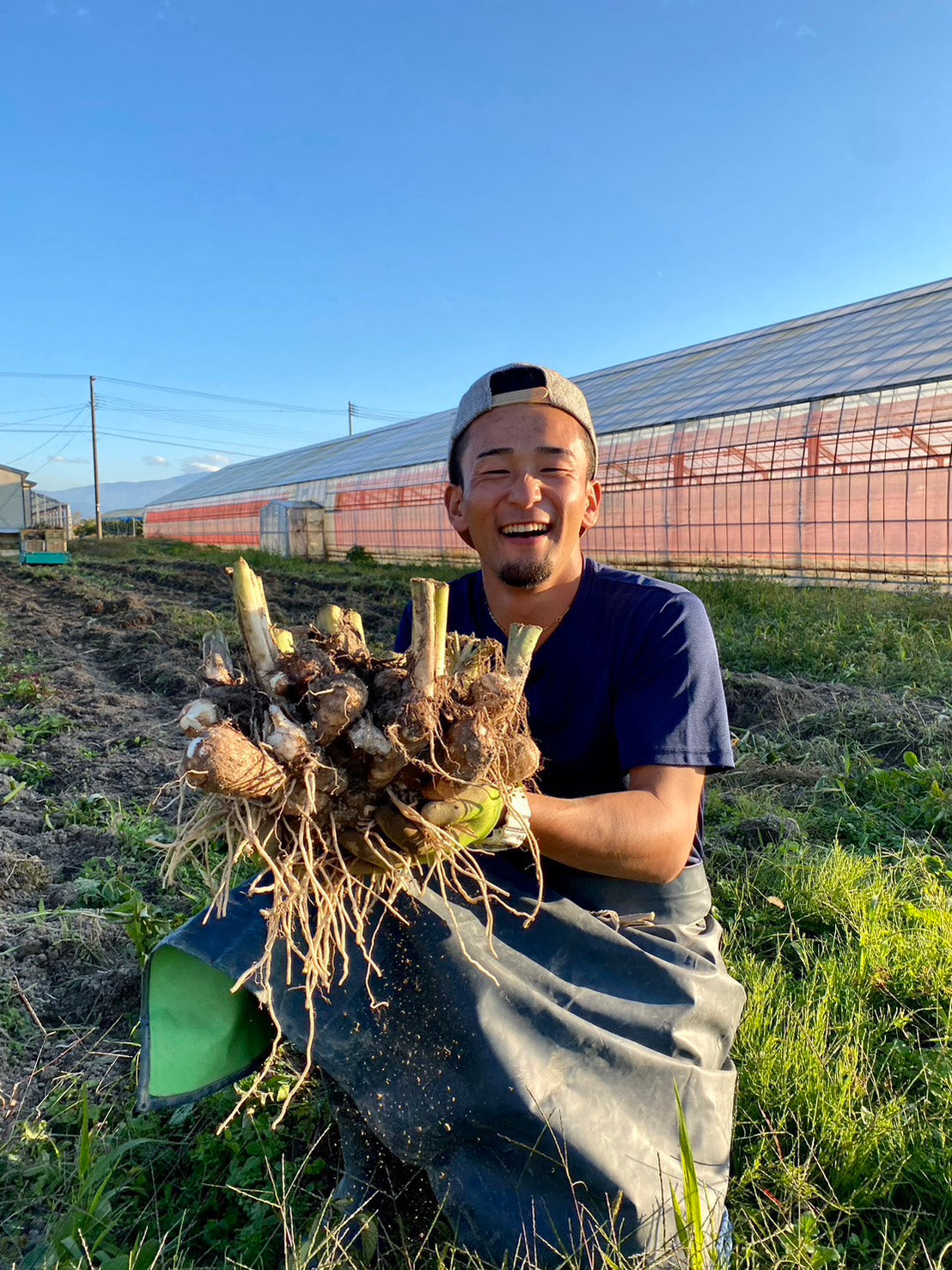 Made-in-Takeda の畑